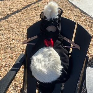 Disney Black and White Pet Outfit with Red Bow